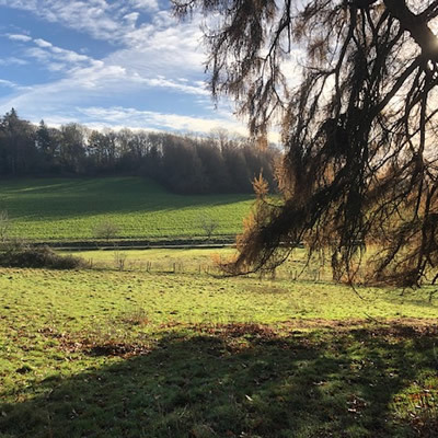 learning-outdoors-field-view