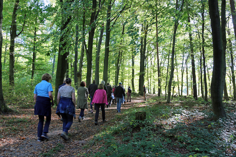 walking in the woods